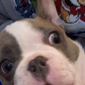 Meet your Posher, Berlyn